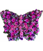 Butterfly 1 funerals Flowers